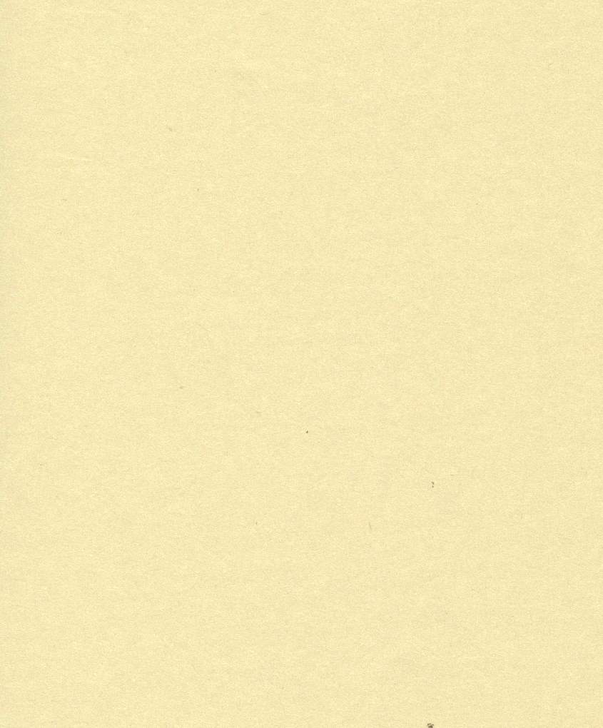 immagine-1-saul-sadoch-carta-regalo-perlage-h-070-mt-l-25-mt-panna-ean-8006715243338