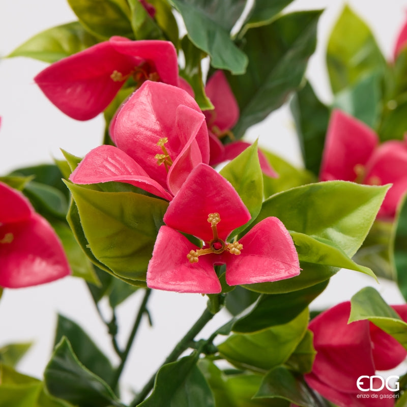 edg enzo de gasperi edg enzo de gasperi bouganvillea cespuglio x8 con foglie anti uv pianta artificiale h 50 cm fuchsia ean 8059824657879