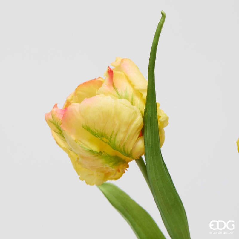 edg enzo de gasperi edg enzo de gasperi bouquete tulipano parrot x3 h 40 cm con bocciolo giallo chiaro ean 8059824612625