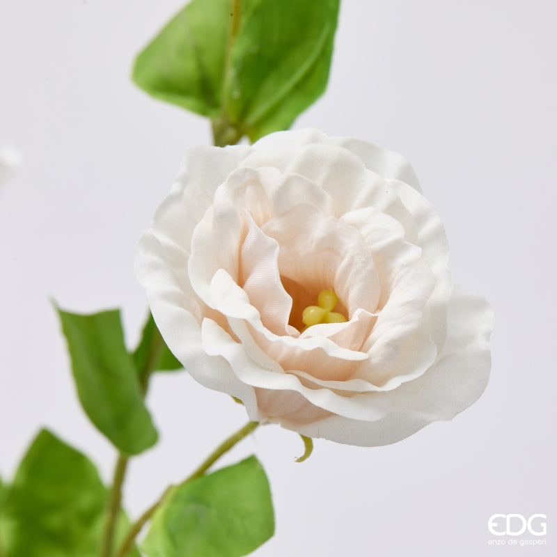 edg enzo de gasperi edg enzo de gasperi lisiantus ramo con foglie ass h 71 cm d 10 cm pianta artificiale colore bianco o rosa1 pz ean 8059824614599