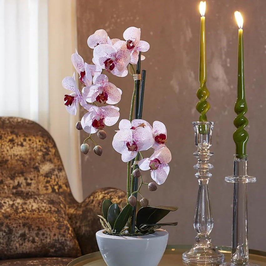 edg enzo de gasperi edg enzo de gasperi orchidea phalaenopsis real x2 con vaso h 50 cm pianta artificiale rosa ean 8054184927303