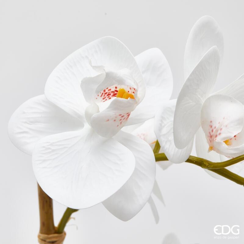 edg enzo de gasperi edg enzo de gasperi orchidea phalaenopsis x2 con foglie e vaso h 51 cm pianta artificiale bianco ean 8059824513717