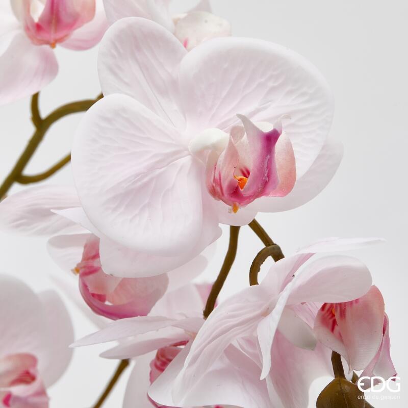 edg enzo de gasperi edg enzo de gasperi orchidea phalaenopsis x2 con foglie e vaso h 51 cm pianta artificiale rosa chiaro ean 8059824513755