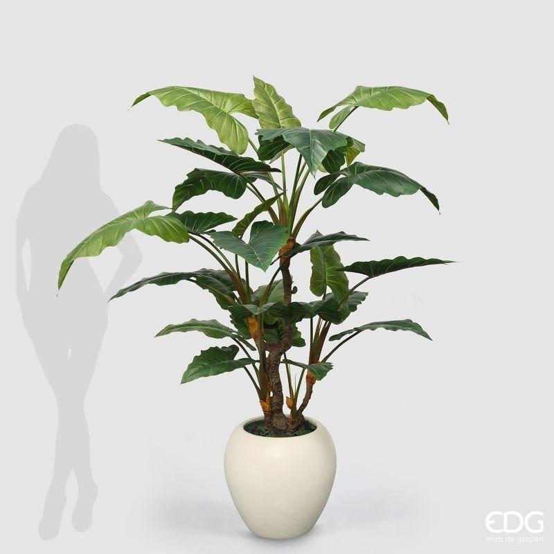 edg enzo de gasperi edg enzo de gasperi pianta artificiale alocasia vogue con vaso h 180 cm pianta decorativa realistica design moderno ean 8059824655172