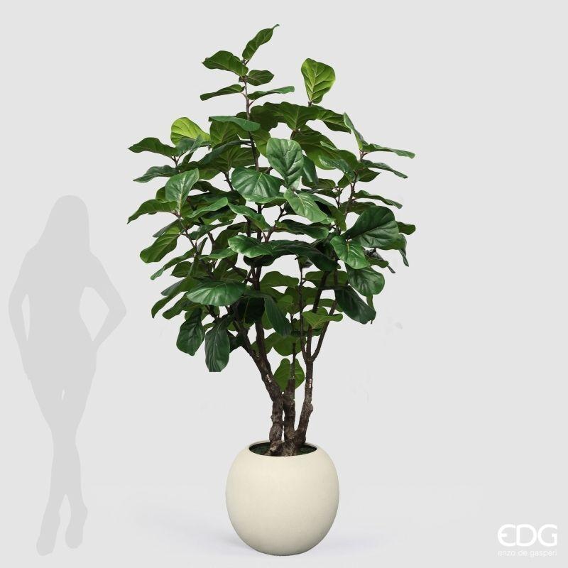 edg enzo de gasperi edg enzo de gasperi pianta artificiale ficus lyrata vogue con vaso h240 cm pianta decorativa realistica design moderno ean 8059824655141