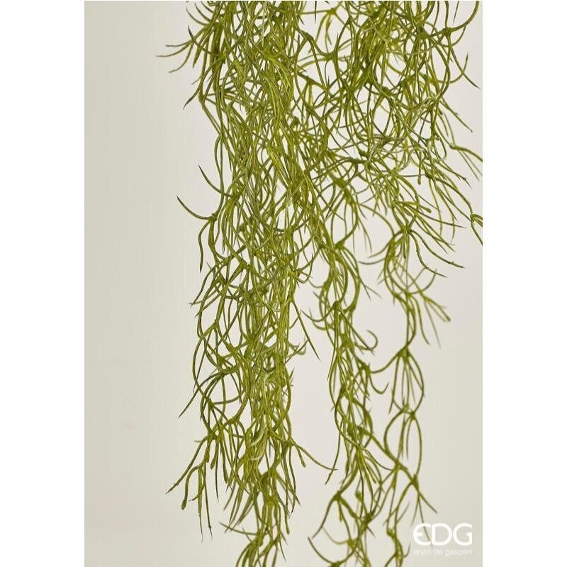 edg enzo de gasperi edg enzo de gasperi tillandsia west cadente h 75 cm pianta artificiale verde salvia ean 8056372380082