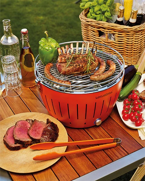 lotusgrill lotusgrill bricchetti carbone legno di faggio 3 kg ean 4260023012619