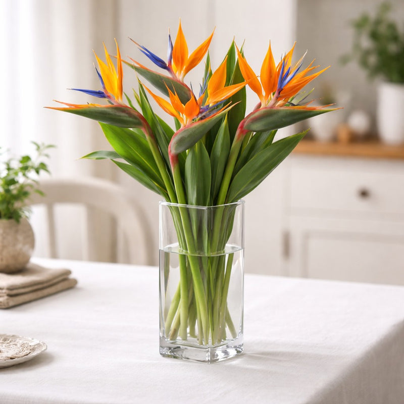 regalo italiano regalo italiano vaso in vetro rettangolare 8 x 8 cm h 20 cm vaso alto per fiori e arredo ean 8021785797758
