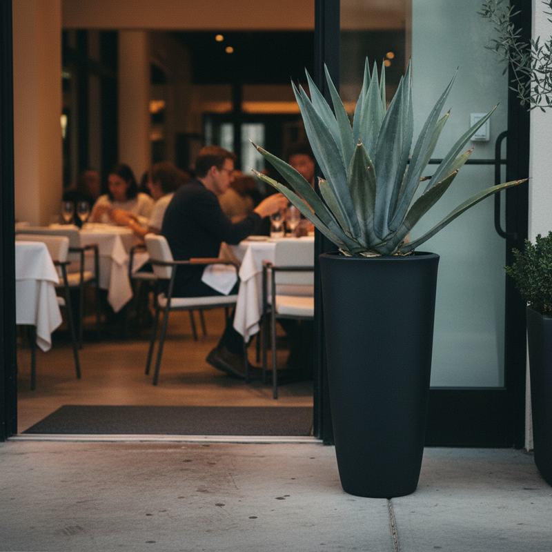 Dehors ristorante