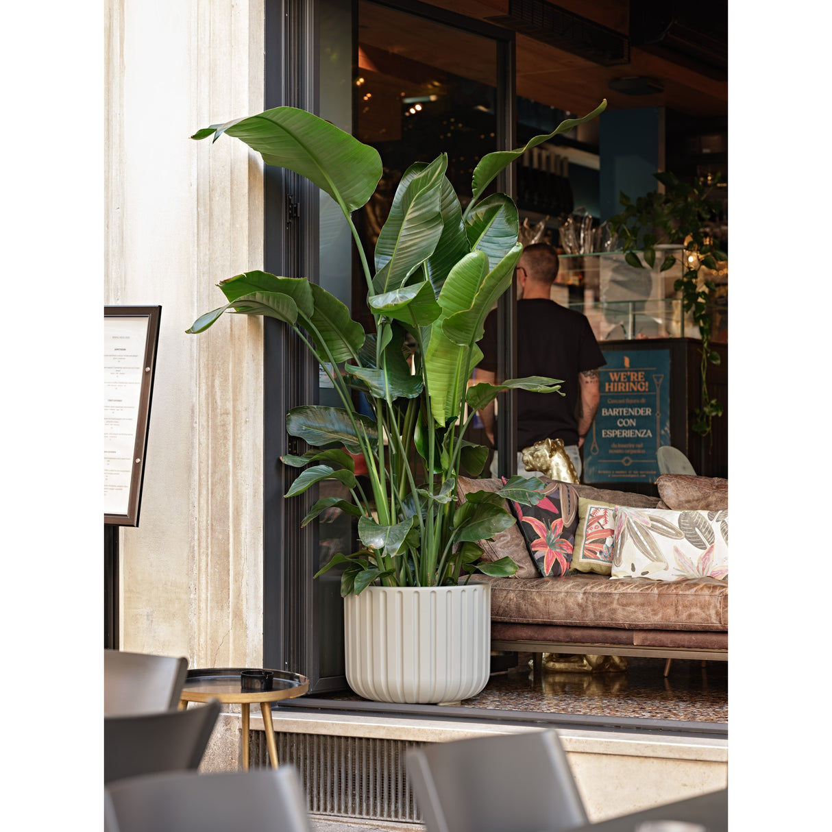 teraplast teraplast vaso echo rigato 50 sovrapponibile resina basalt ean 8051560280298