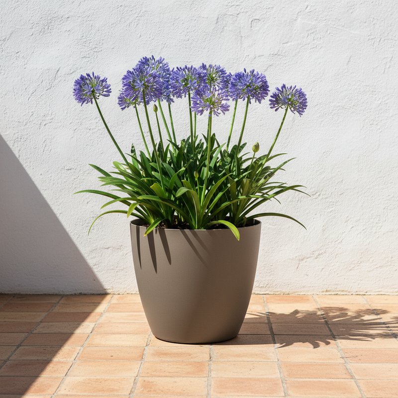 Vaso rotondo TeraPlast Bayon 50 Kit Sand, resina riciclabile Ø50×H45 cm, 55 lt, riserva d'acqua integrata, indoor/outdoor. Design naturale.