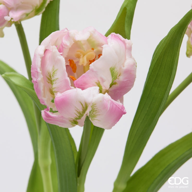 edg enzo de gasperi edg enzo de gasperi bouquete tulipano parrot x3 h 40 cm con bocciolo lilac ean 8059824612700