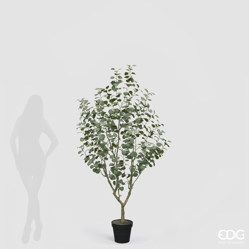 edg enzo de gasperi edg enzo de gasperi eucalipto vogue con vaso pianta artificiale h 190 cm verde ean 8059824607294