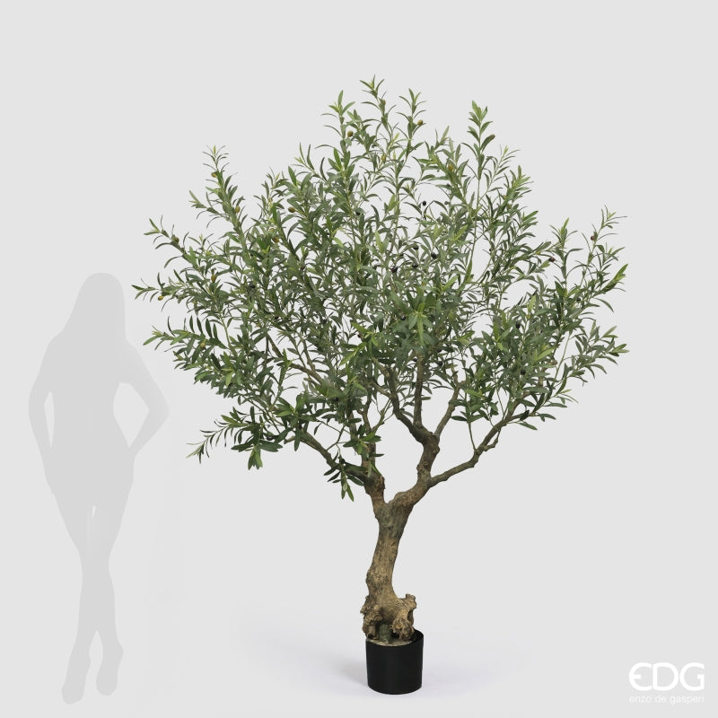 edg enzo de gasperi edg enzo de gasperi olivo con vaso h 230 cm pianta artificiale verde ean 8059824607492