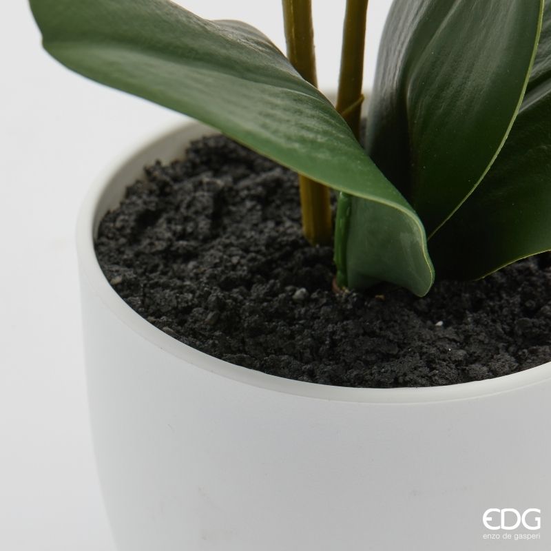 edg enzo de gasperi edg enzo de gasperi orchidea phalaenopsis con vaso e foglie h 50 cm pianta artificiale rosa chiaro ean 8059824513618