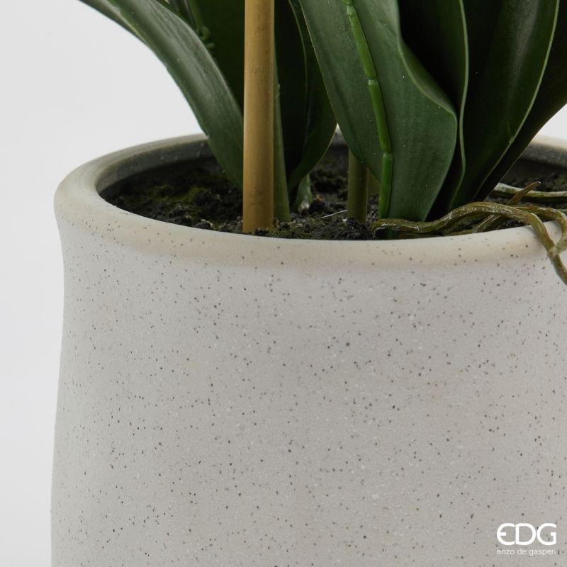 edg enzo de gasperi edg enzo de gasperi orchidea phalaenopsis x5 con foglie e vaso h 62 cm pianta artificiale bianco ean 8059824513779