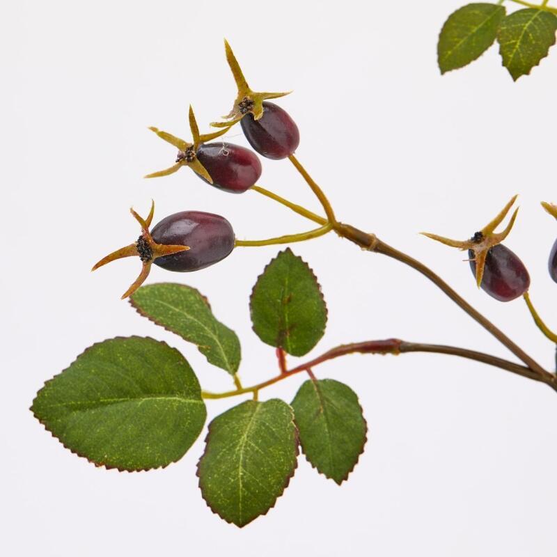 edg enzo de gasperi edg enzo de gasperi rosa canina glory ramo h 68 cm con bacche burgundy ean 8059824146687