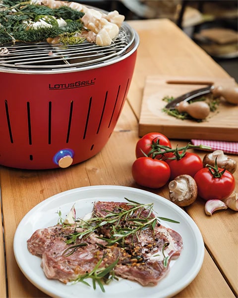 lotusgrill lotusgrill barbecue portatile 35 x 35 x 23 4 cm per interno ed esterno rosso ean 4260023010837