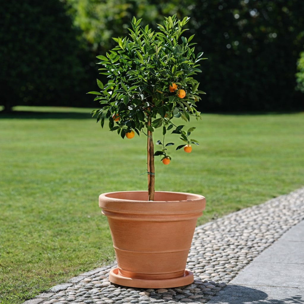 teraplast teraplast vaso doppio bordo 50 resina anticato ean 8032841760197