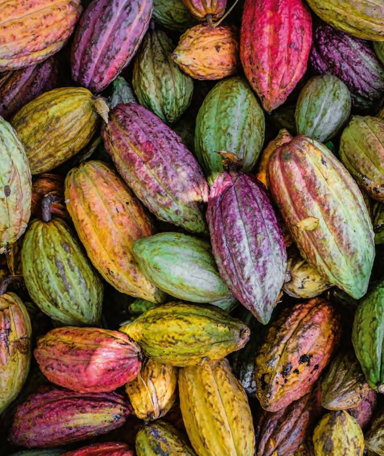 caffarel caffarel uovo dark ass fondente classico o con granella di cacao o con arancia 230 gr 1 pz