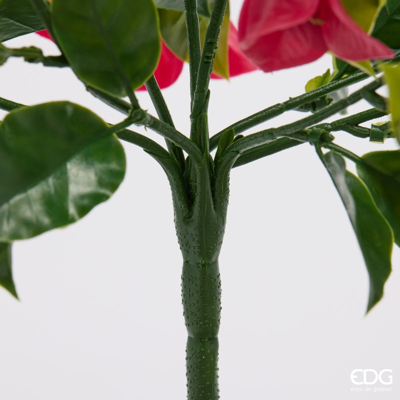 edg enzo de gasperi edg enzo de gasperi bouganvillea cespuglio x8 con foglie anti uv pianta artificiale h 50 cm fuchsia ean 8059824657879
