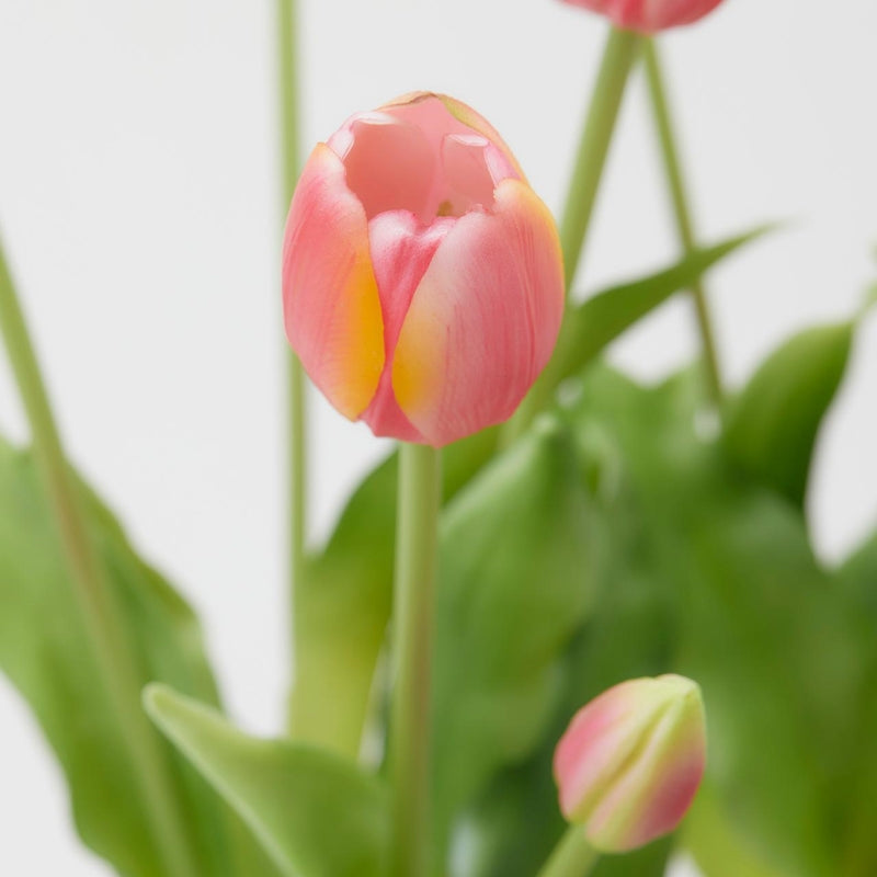 edg enzo de gasperi edg enzo de gasperi bouquet di 5 tulipani chiusi gomma olis ass h 40 cm rosa chiaro o scuro 1 pz ean 8059824081834