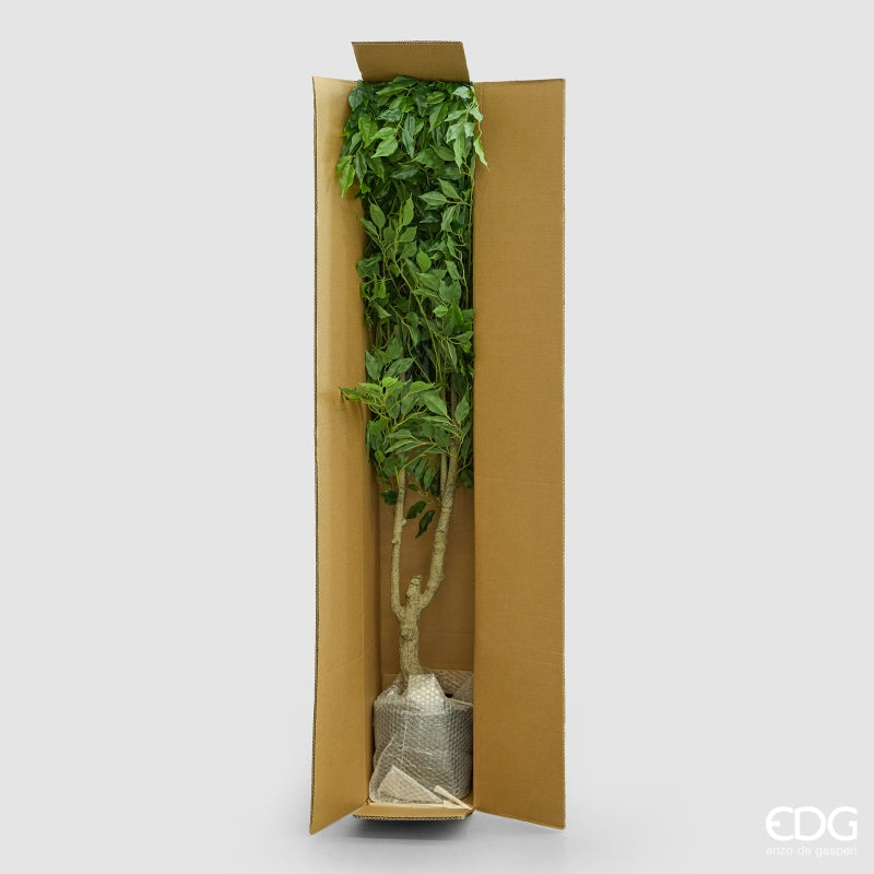 edg enzo de gasperi edg enzo de gasperi ficus beniamino vogue con vaso pianta artificiale h 156 cm verde ean 8059824607348
