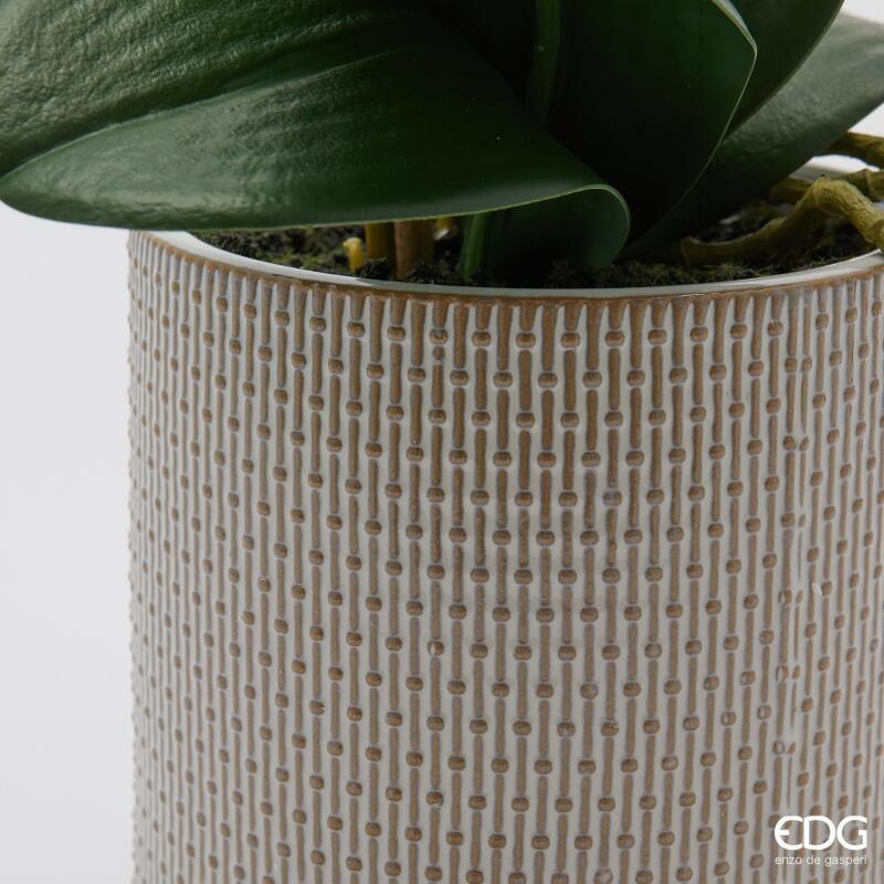 edg enzo de gasperi edg enzo de gasperi orchidea phalaenopsis x2 con foglie e vaso h 51 cm pianta artificiale bianco ean 8059824513717
