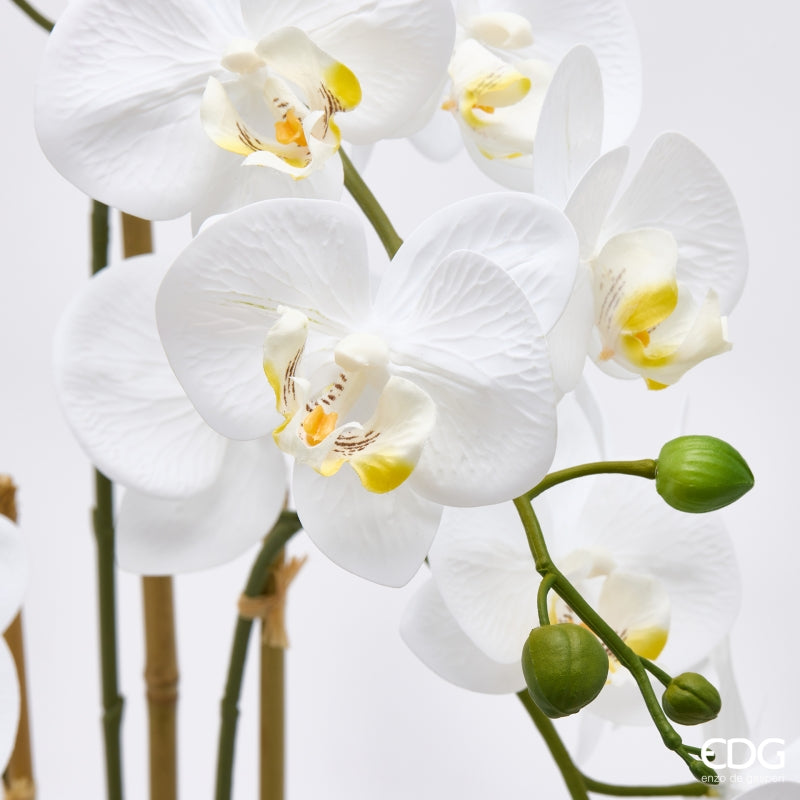 edg enzo de gasperi edg enzo de gasperi orchidea phalaenopsis x3 con bocciolo e vaso pianta artificiale h 65 cm bianco ean 8059824669872