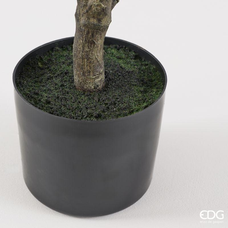 edg enzo de gasperi edg enzo de gasperi pianta artificiale ficus vogue con vaso h 150 cm pianta decorativa realistica design moderno ean 8059824655240