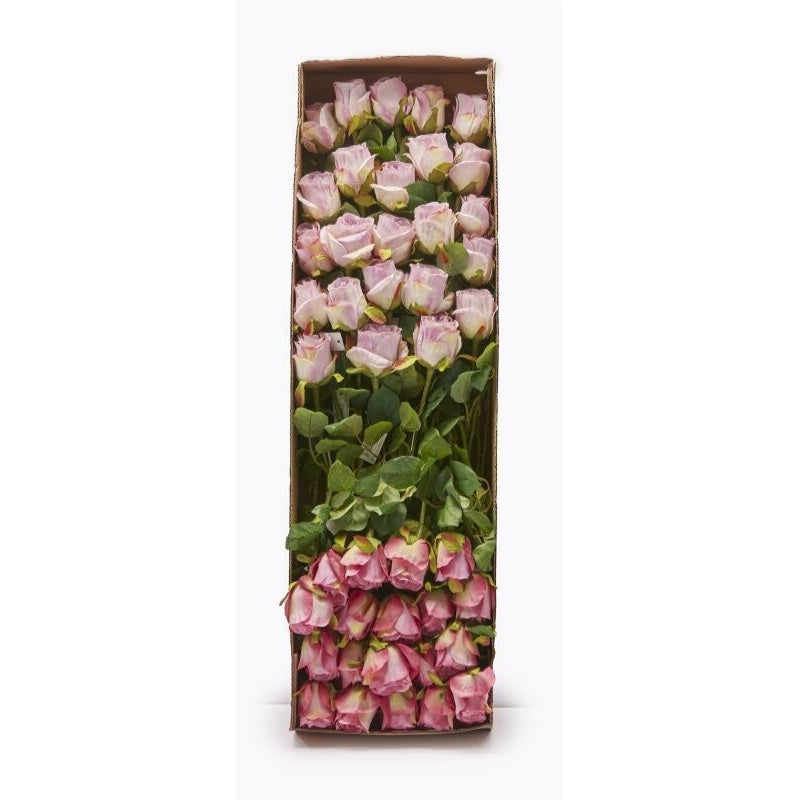edg enzo de gasperi edg enzo de gasperi rosa bocciolo olis 3 fg ramo ass h 51 cm pianta artificiale mauve 1 pz ean 8059824005366