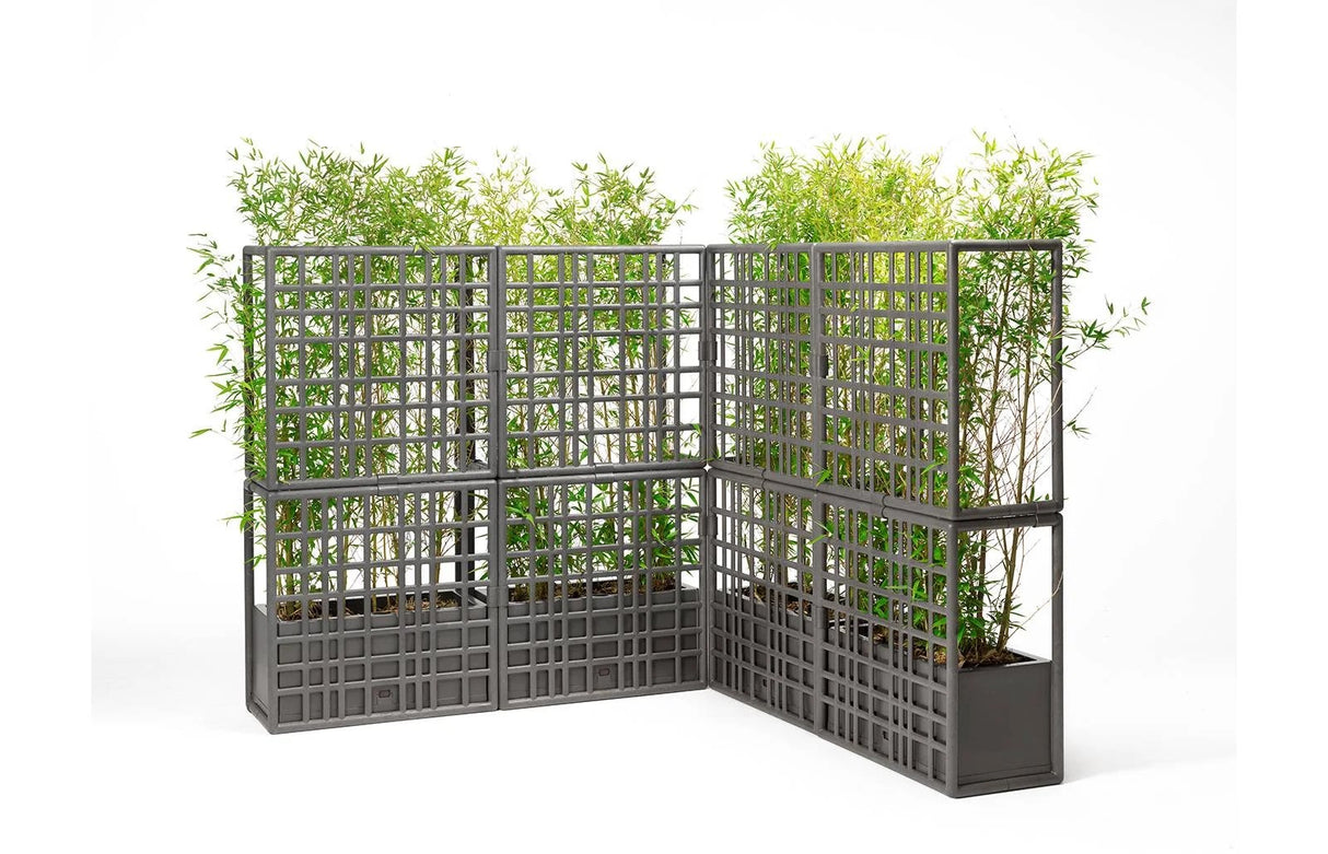 immagine-4-nardi-sipario-2-cactus-con-fioriera-auto-irrigante