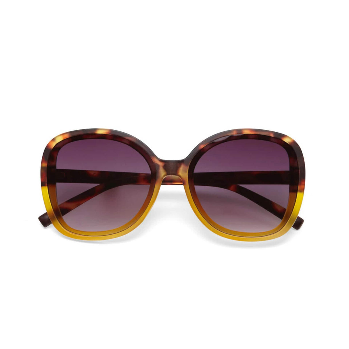 okkia okkia occhiale da sole premontato butterfly mod anna havana yellow ean 8052862288937