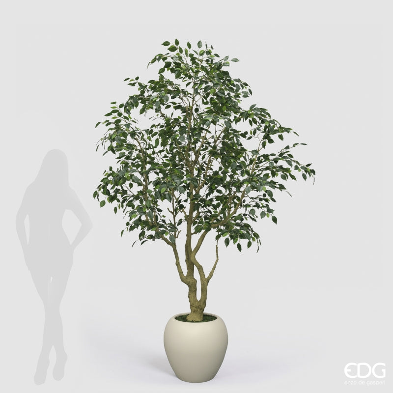 edg enzo de gasperi edg enzo de gasperi ficus beniamino vogue con vaso pianta artificiale h 240 cm verde ean 8059824607324