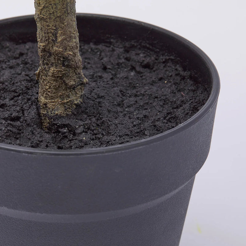 edg enzo de gasperi edg enzo de gasperi mandarino con vaso h 76 cm pianta artificiale mix verde ean 8059824355911