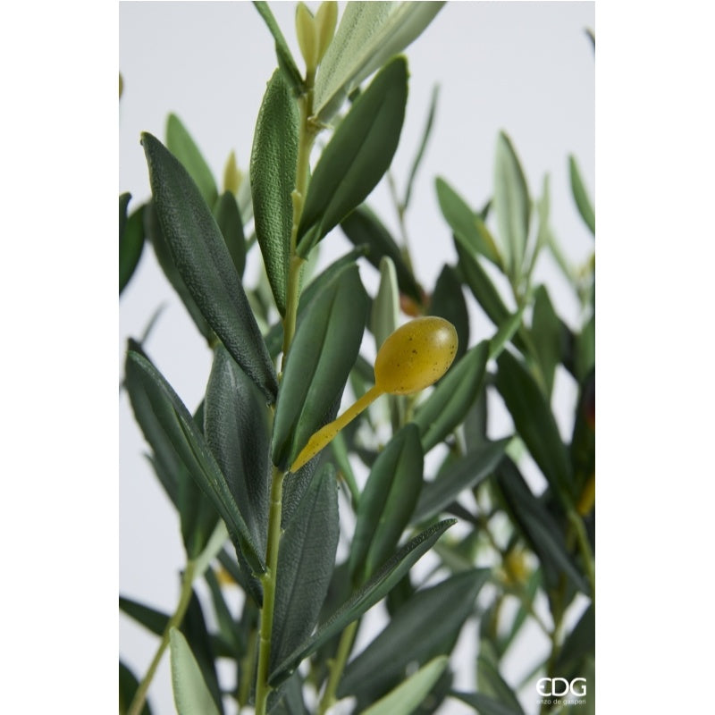 edg enzo de gasperi edg enzo de gasperi olivo con vaso h 157 cm pianta artificiale anti uv verde ean 8059824607614
