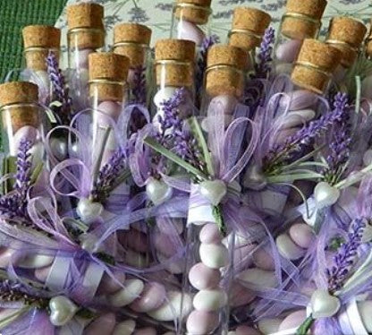 larcolaio larcolaio provetta vetro con tappo sughero 12 x 25 cm 12 pz