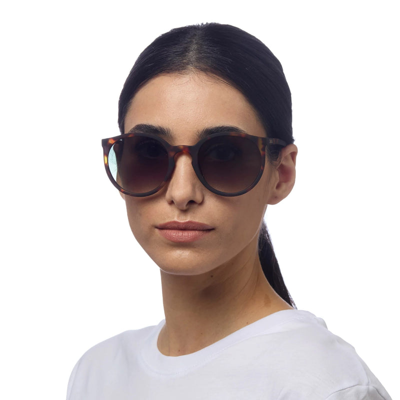 okkia okkia occhiale da sole premontato mod berlino classic havana ean 8056211371295