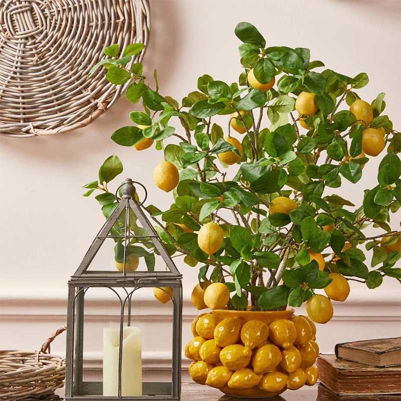 EDG Enzo De Gasperi Chakra Lemon Vase H 19 Cm D 28 Cm 36 Fruits Yellow