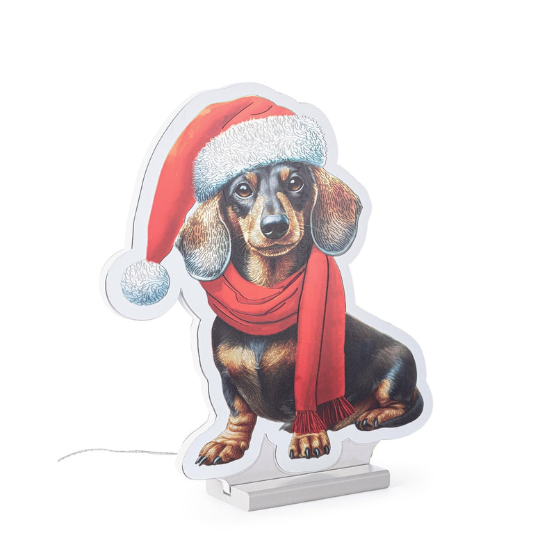 Bizzotto Dog with Skis and LED Lights H 39 cm with 207 LED IP20 Christmas Decoration