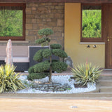 The Spinning Wheel Pebbles White Carrara 25 / 40 Mm 20 ​​Kg