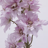 edg enzo de gasperi ramo delphinium artificiale h 135 cm mauve ean 8059824352644