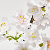 edg enzo de gasperi ramo sakura fiori di ciliegio artificiale h 92 cm pale pink ean 8059824453372