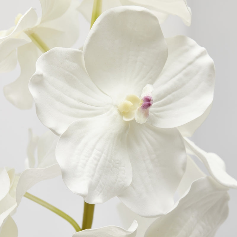 edg enzo de gasperi edg enzo de gasperi orchidea vanda ramo x9 artificiale h 95 cm white ean 8059824453556