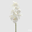 edg enzo de gasperi edg enzo de gasperi orchidea vanda ramo x9 artificiale h 95 cm white ean 8059824453556