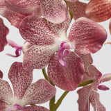 edg enzo de gasperi ramo orchidea vanda artificiale h 70 cm ass orange mix 1 pz ean 8059824475534