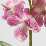 edg enzo de gasperi cespuglio orchidea vanda artificiale con foglio h 70 cm ass two tone pink 1 pz ean 8059824475572