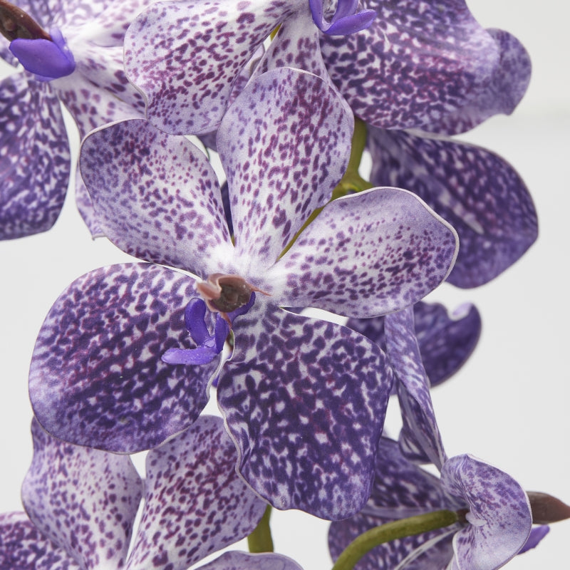 edg enzo de gasperi cespuglio orchidea vanda artificiale con foglio h 70 cm ass violet 1 pz ean 8059824475596