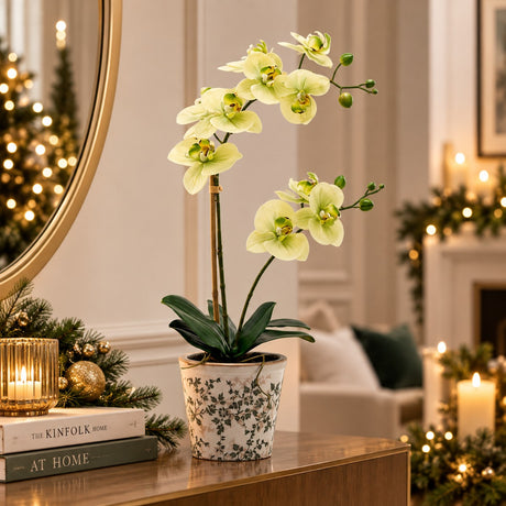 EDG Enzo De Gasperi Phalaenopsis Orchid x2 with Bud and Vase Artificial Plant H 60 Cm Yellow Green