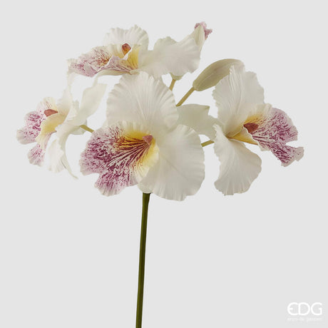 edg enzo de gasperi edg enzo de gasperi orchidea cattleya duke ramo x4 e 2 boccioli artificiale h 43 cm white violet ean 8056372147227